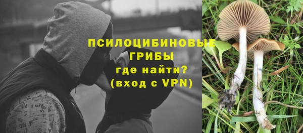 хмурый Нязепетровск