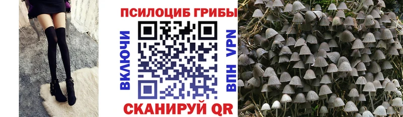 Галлюциногенные грибы MAGIC MUSHROOMS  Олонец 